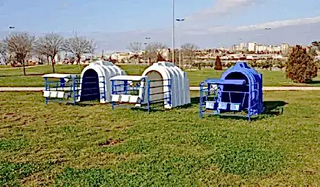 Amasya Buzağı Kulubesi