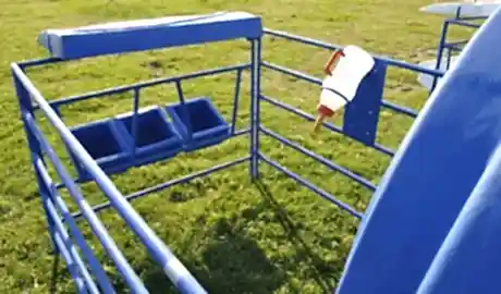 Bayburt Buzağı Kulubesi