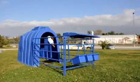 Burdur Buzağı Kulubesi