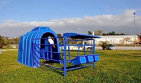 Düzce Buzağı Kulubesi