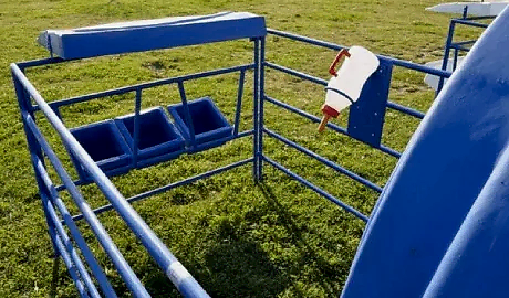 Hakkari Buzağı Kulubesi