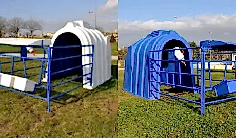 Kastamonu Buzağı Kulubesi