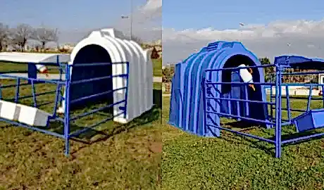 Kocaeli Buzağı Kulubesi