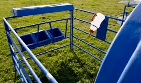 Niğde Buzağı Kulubesi