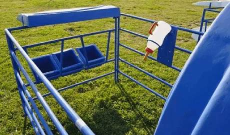 Sinop Buzağı Kulubesi