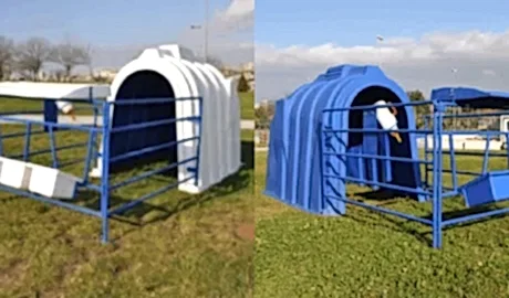 Zonguldak Buzağı Kulubesi